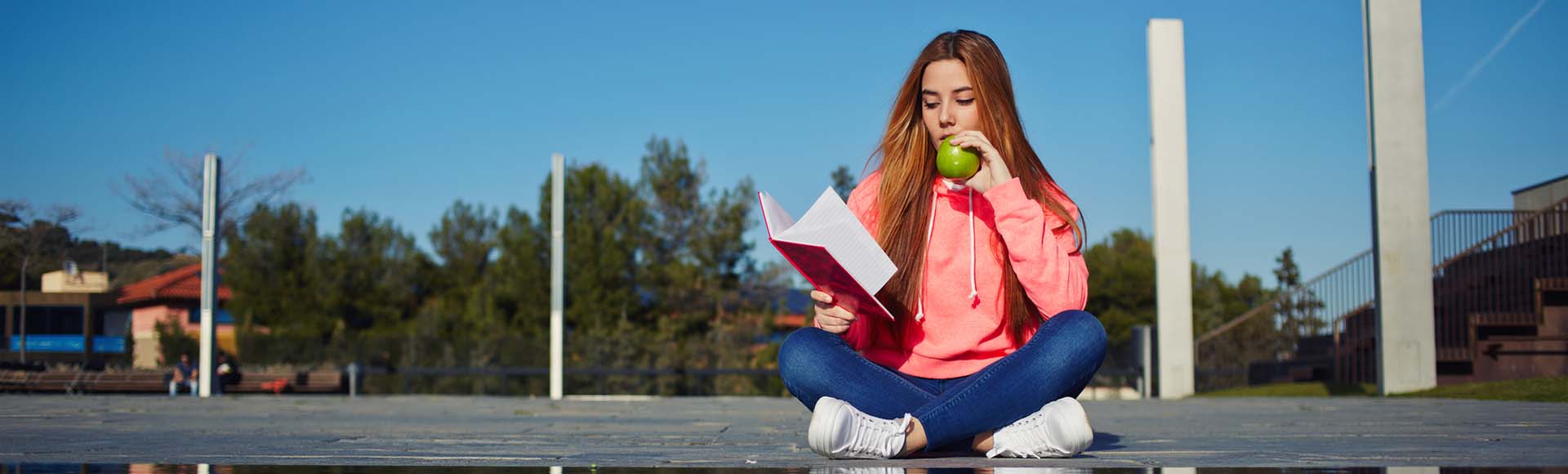 Erasmus+